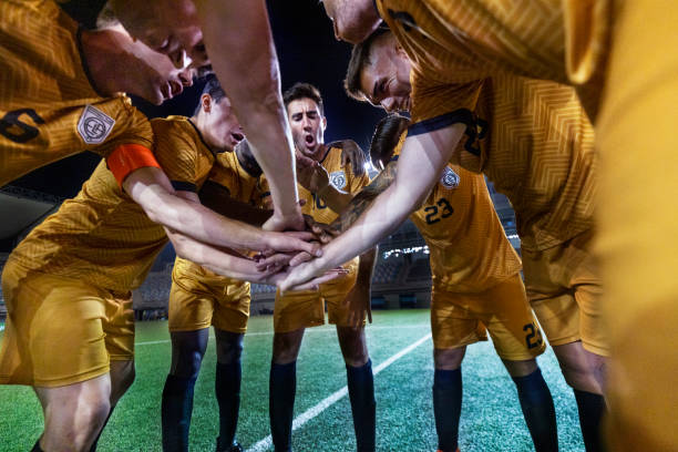 而莱万多夫 而莱万多夫